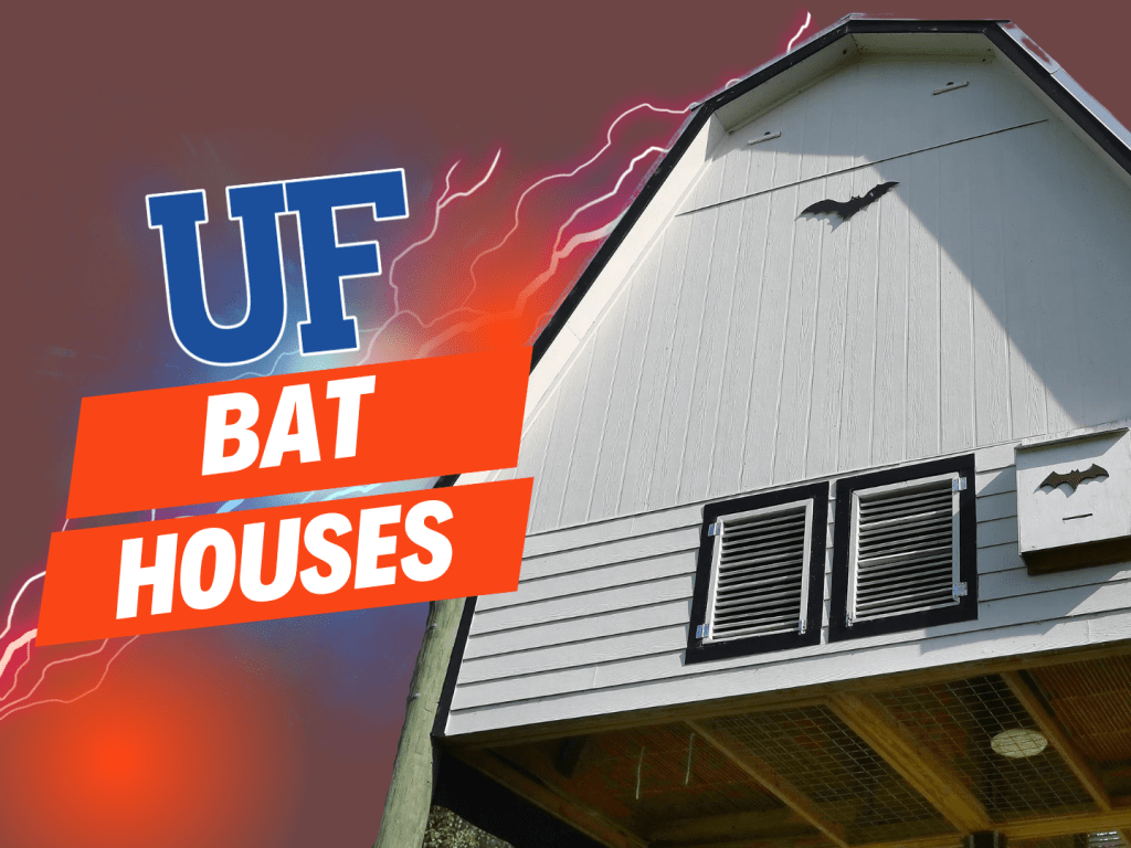 Swamp Fangs: The Bats that Call UF Home
